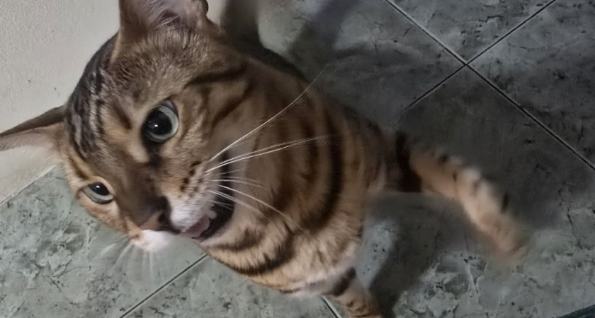    Фото Анастасии Дмитриевой