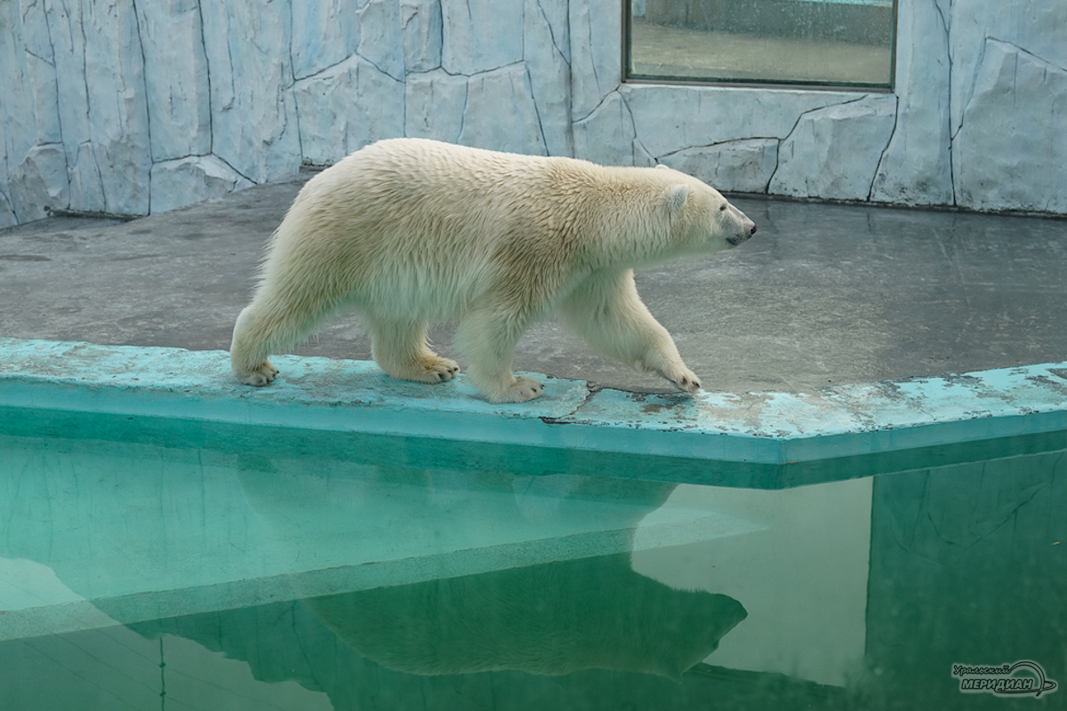   Фото: Лидия Аникина © ИА «Уральский меридиан»