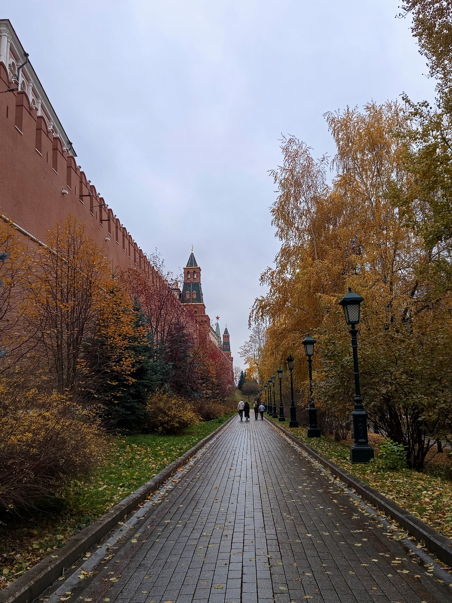 Ноябрь. Москва.