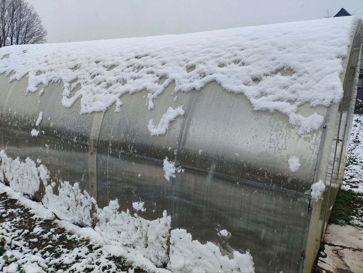 Теплица из поликарбоната зимой