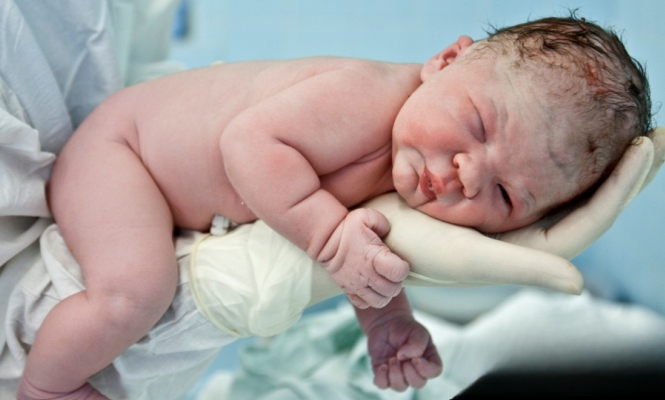    фото: © Правительство Карелии