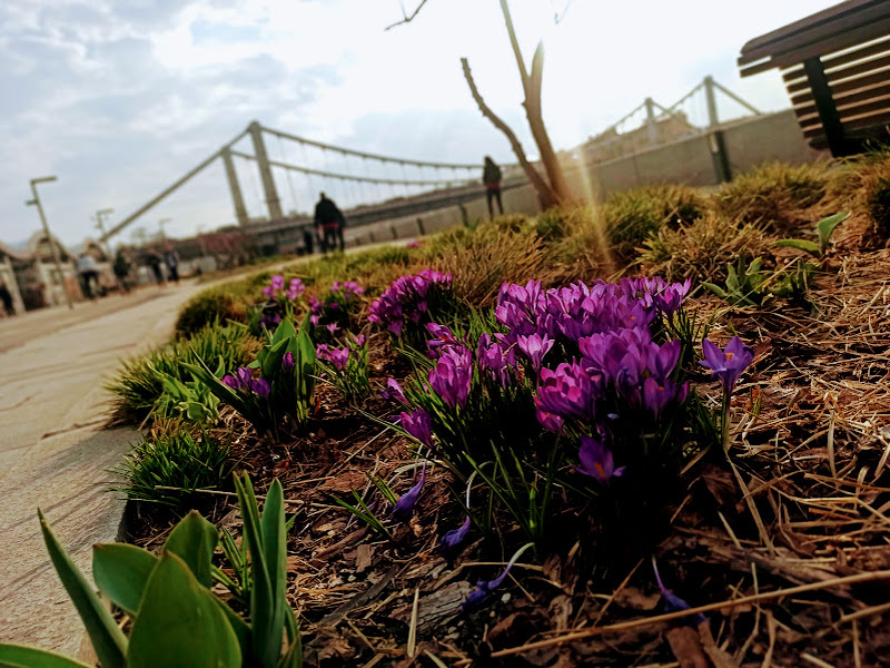 Фото из личного архива