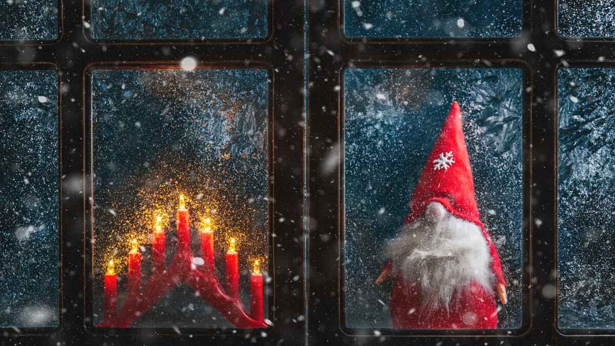 Фото: Olga Ilina/Shutterstock.com