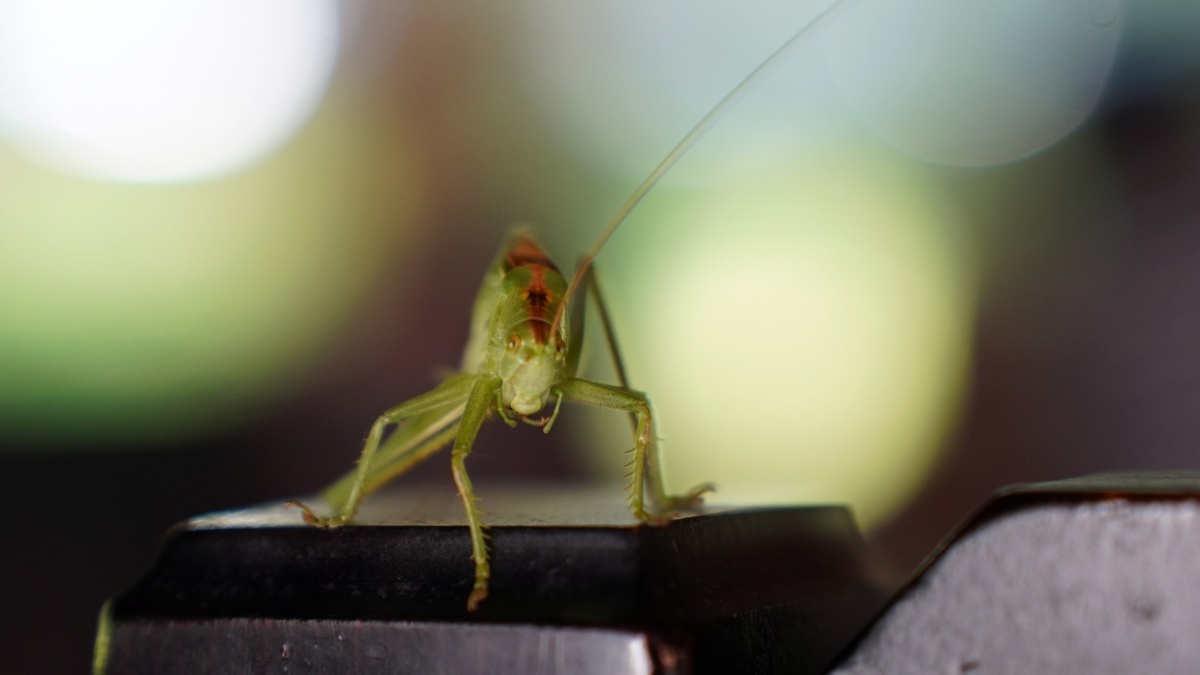 Светлана Мулыкина📷
