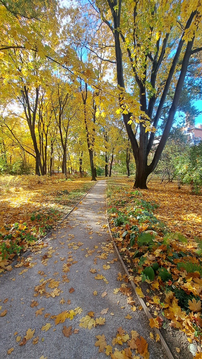 Дорожки в саду проложили так, как было при жизни графа