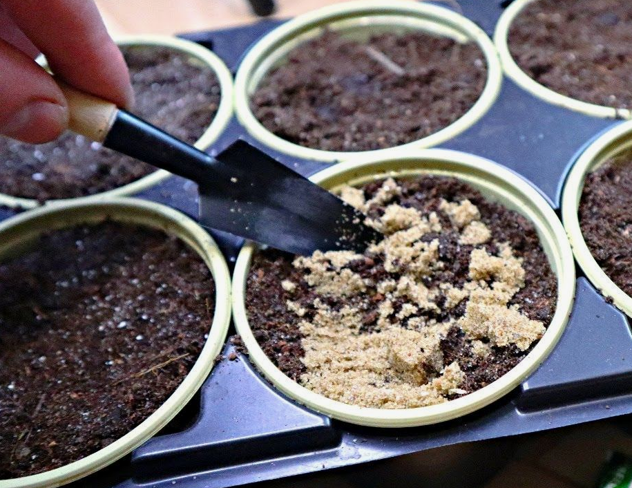 Грунт для рассады