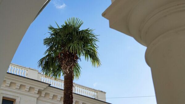    © РИА Новости Крым . Дмитрий Макеев