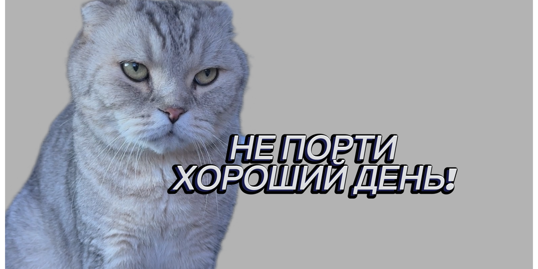 С пятницей, друзья😻