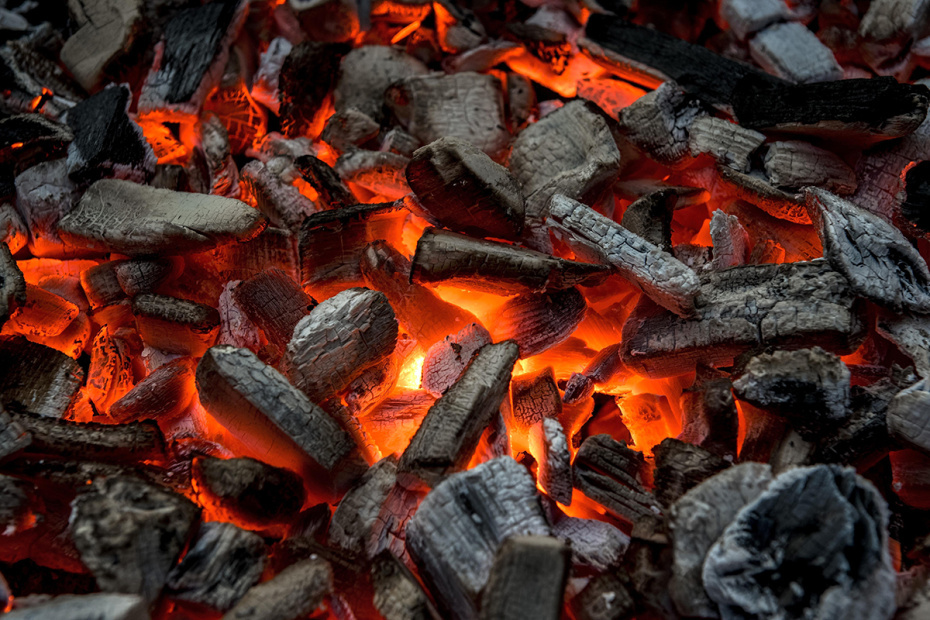    Stephan Goerlich/imageBROKER/Global Look Press