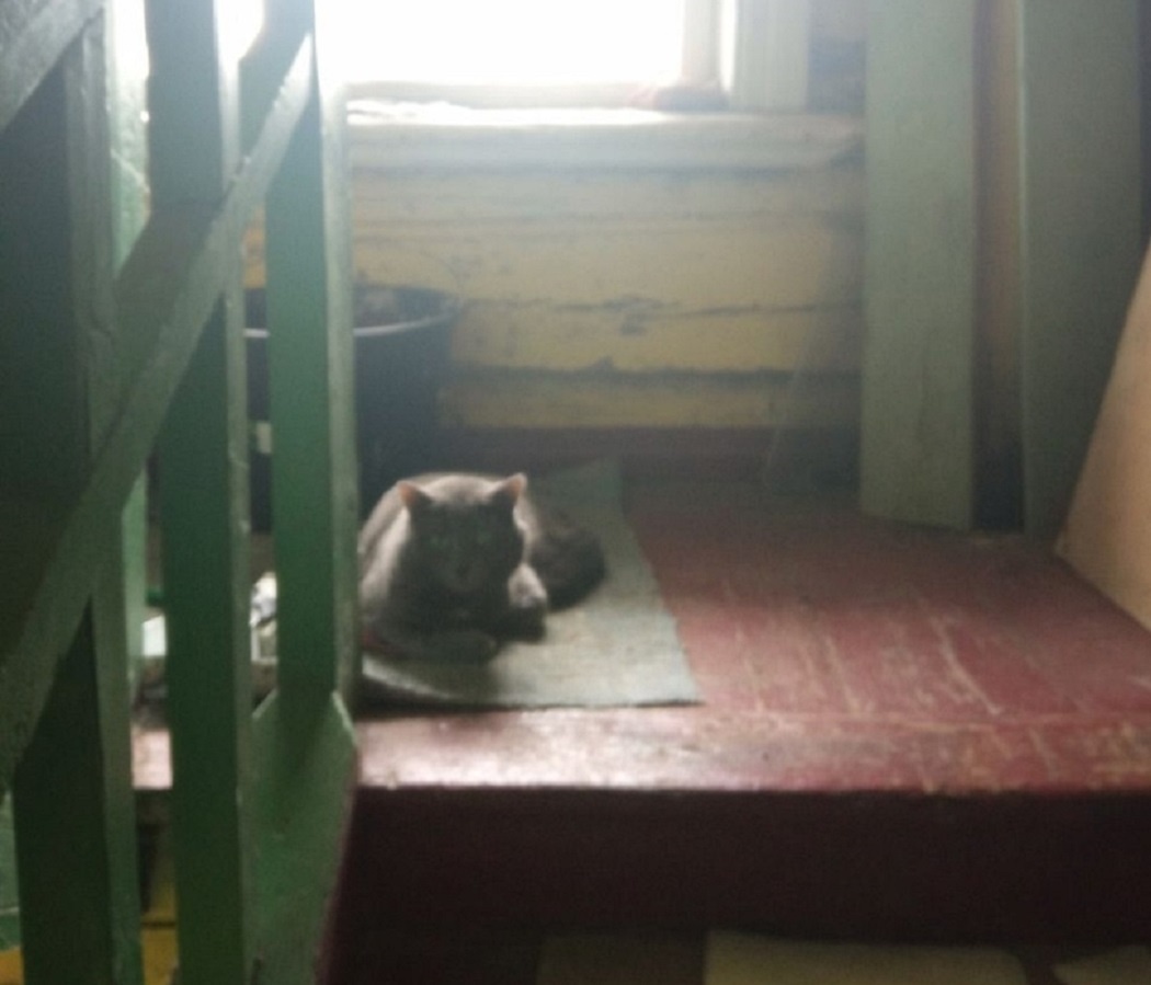    Фото: в подъезде одного из бараков на Авангардой до его сноса / ИА «Уральский меридиан»