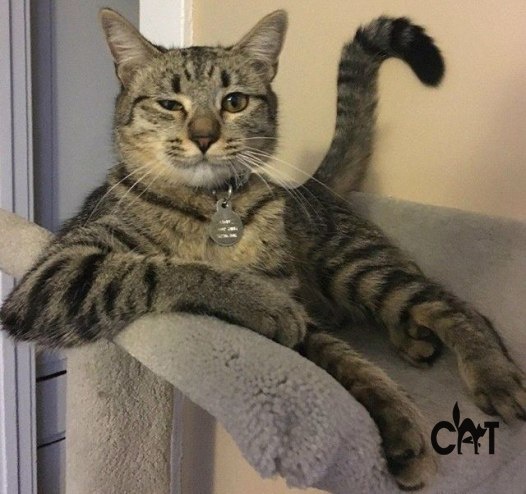 Фото из интернета