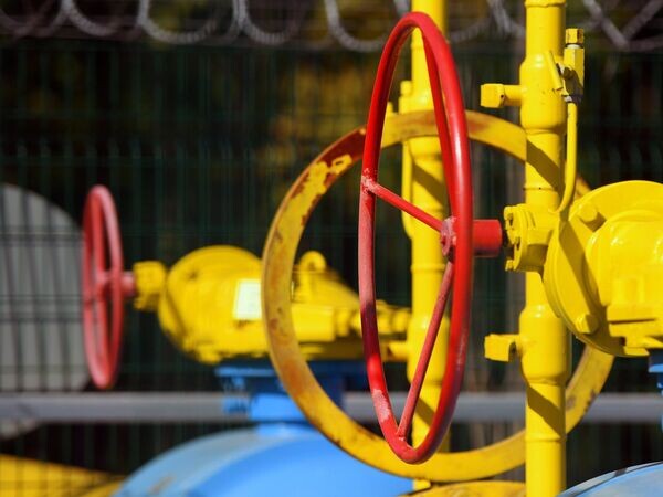    © РИА Новости Максим Богодвид