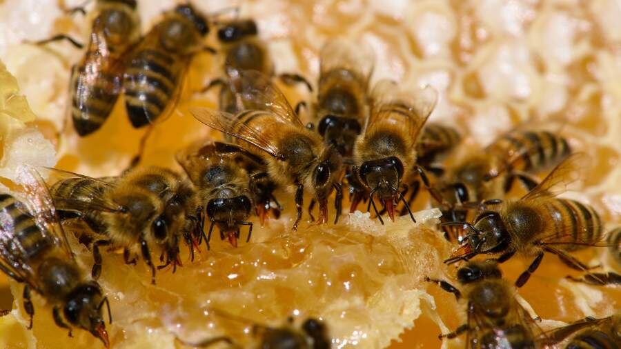    Фото: Global Look Press/Klaus-Dietmar Gabbert