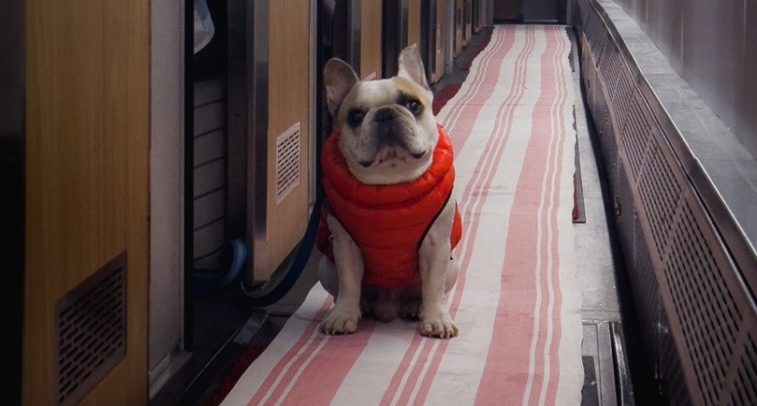    Фото Анастасии Дмитриевой