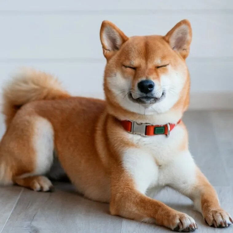 Я сам знаю, что и когда мне делать.