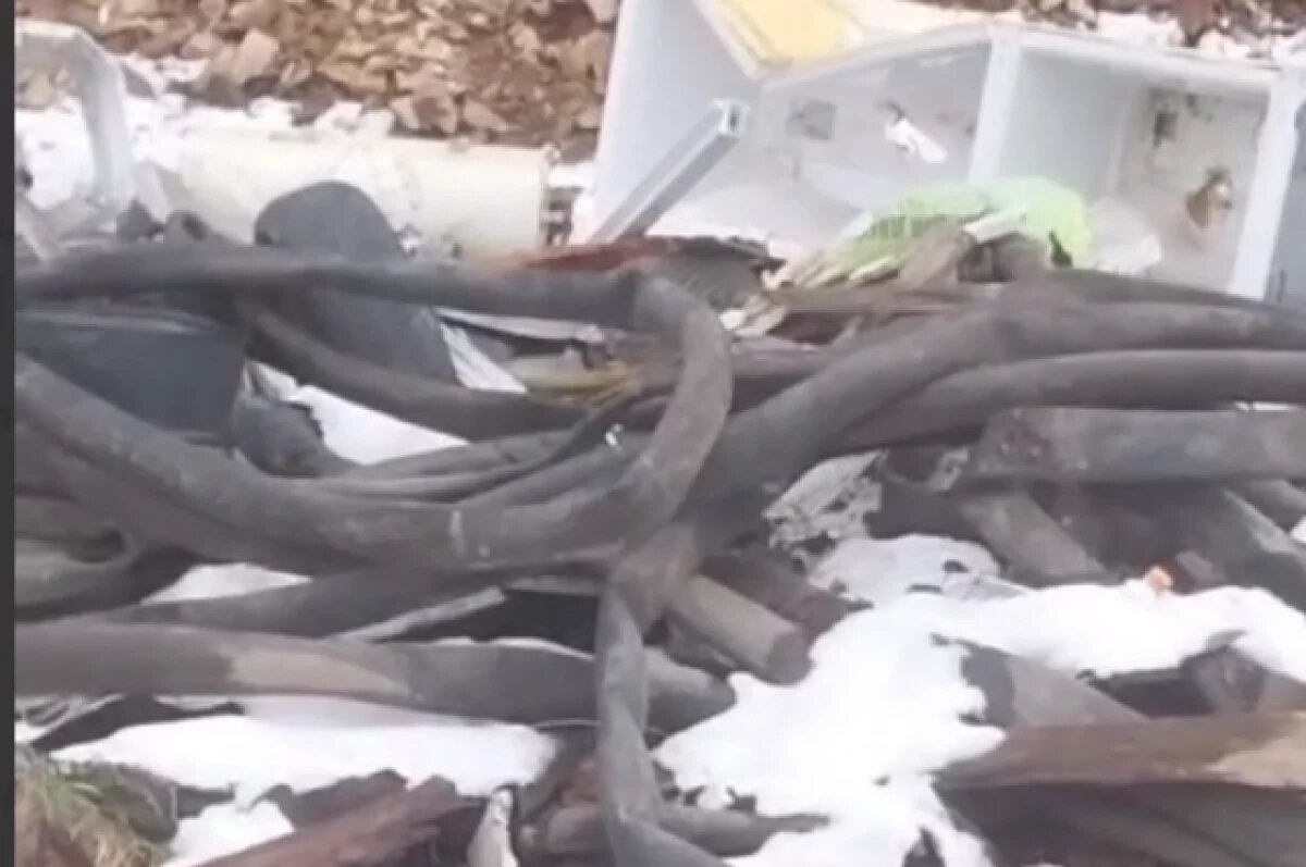    Жители Невельского района жалуются на залежи отходов рядом с жилыми домами