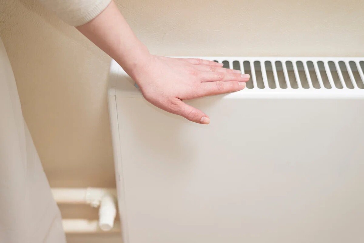    Фото: Shutterstock