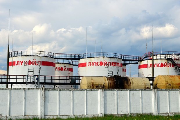    Фото: Maksim Safaniuk / Shutterstock