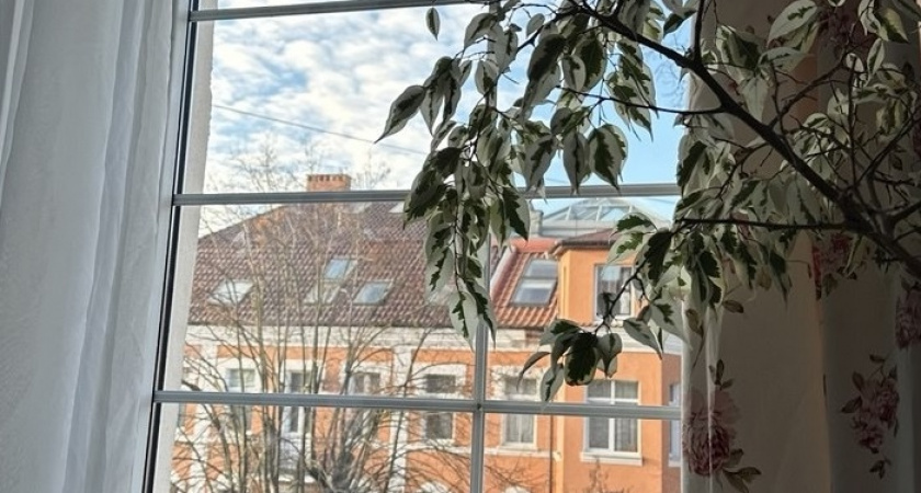    Фото Анастасии Дмитриевой