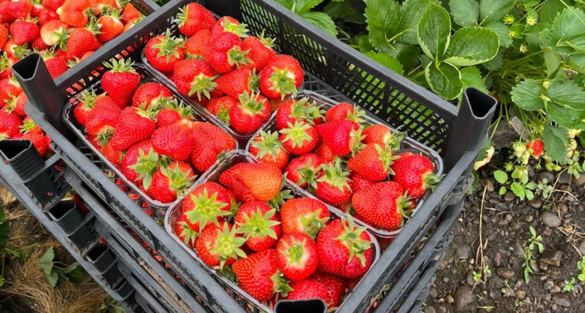    Фото irkutsk.news