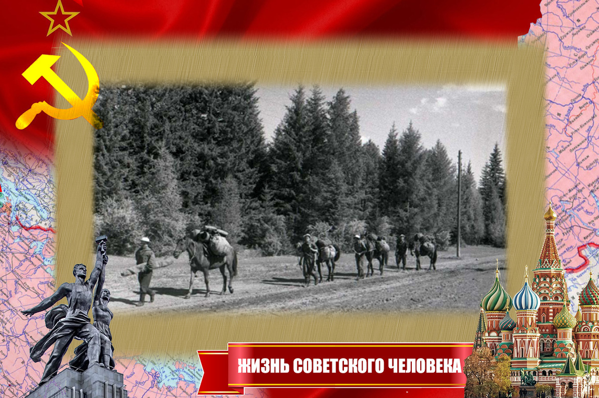 Ежедневные маршруты 