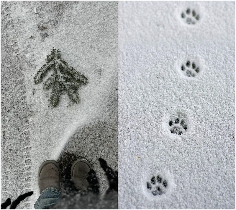 2. Взять след...