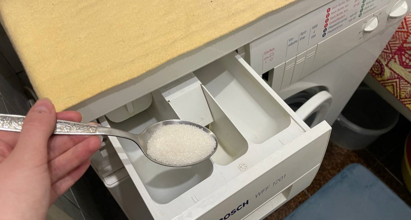    Автор фото - Анна Ефимова