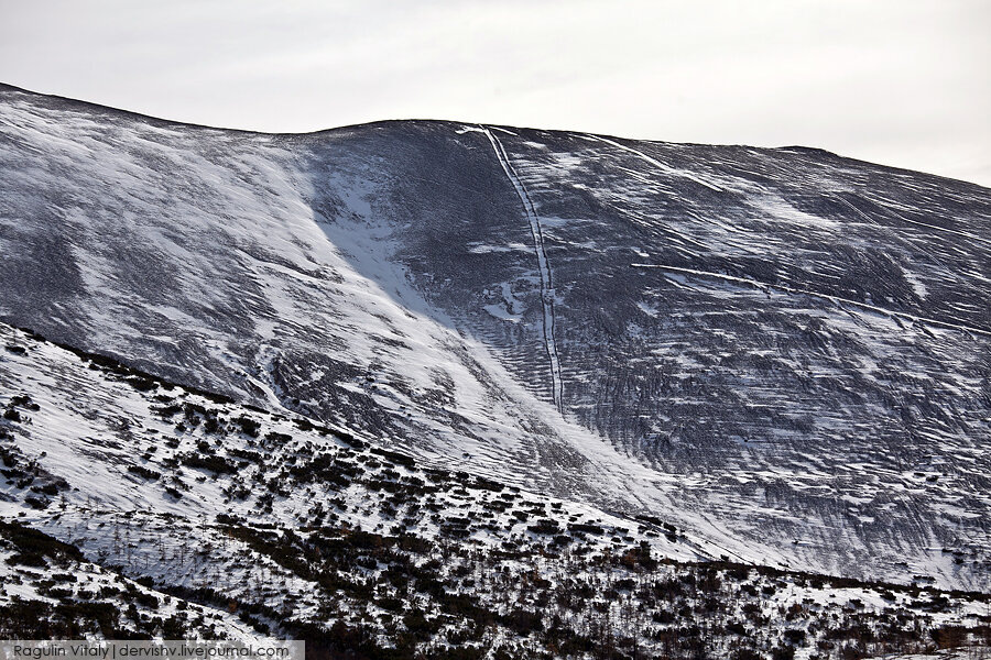 След от трактора,  оставленный на сопке / Фото: Виталий Рагулин