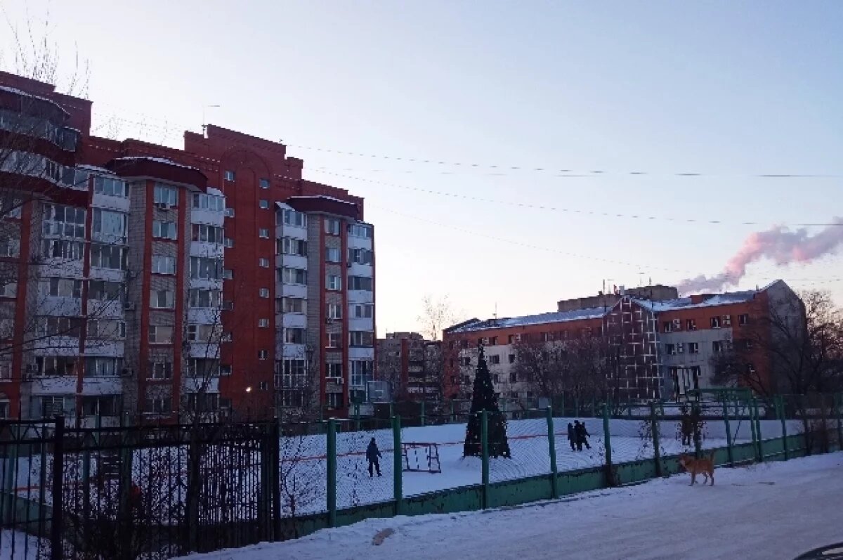    Мороз щиплет, снег кружится: погода в Хабаровске и крае 5 декабря