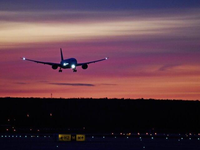    Фото: Москва 24/Никита Симонов