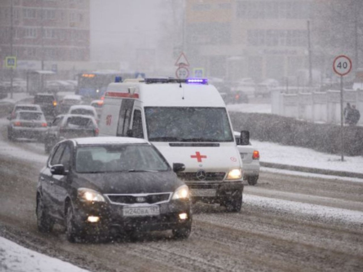    Фото: медиасток.рф