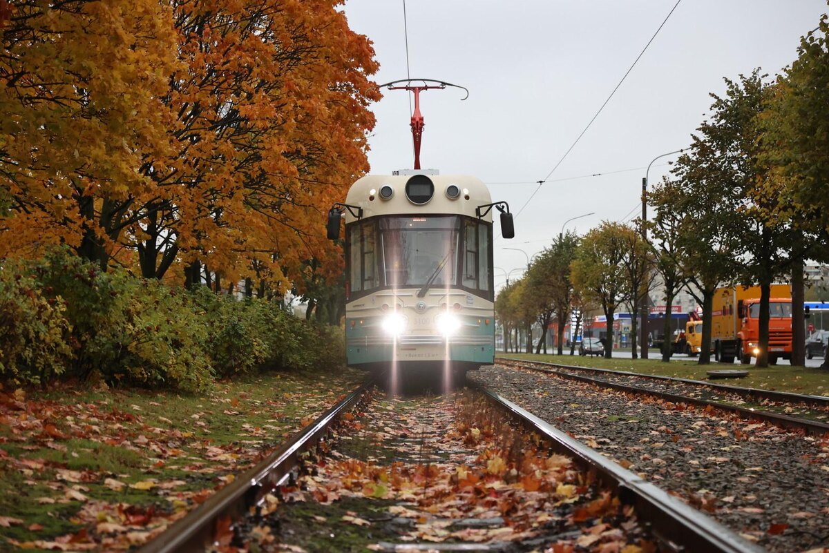 Фото: Дмитрий Фуфаев / «Петербургский дневник»
