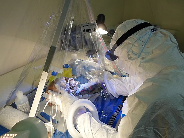    фото: © Alexandra Coutinho, Mattias Jakobsson