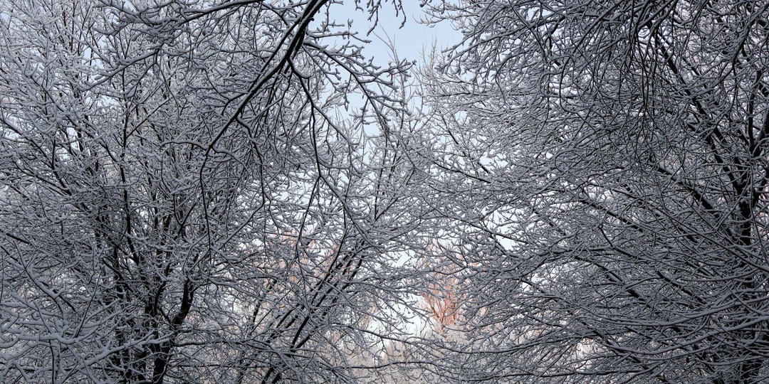 Синоптики рассказали о сильном снегопаде в середине декабря во Владивостоке