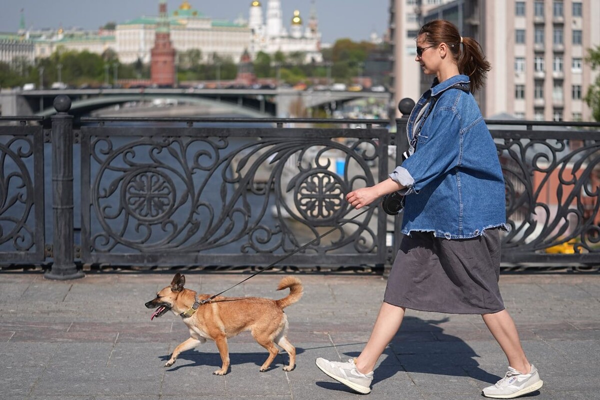     / Источник: © ИЗВЕСТИЯ/Павел Волков