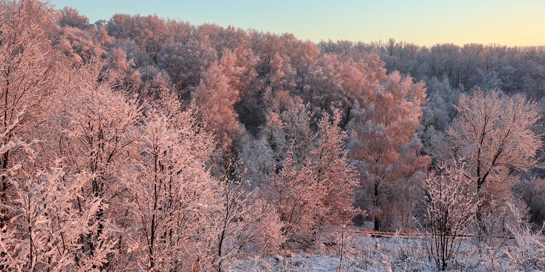 На Якутию обрушились метели и аномальные морозы до –45