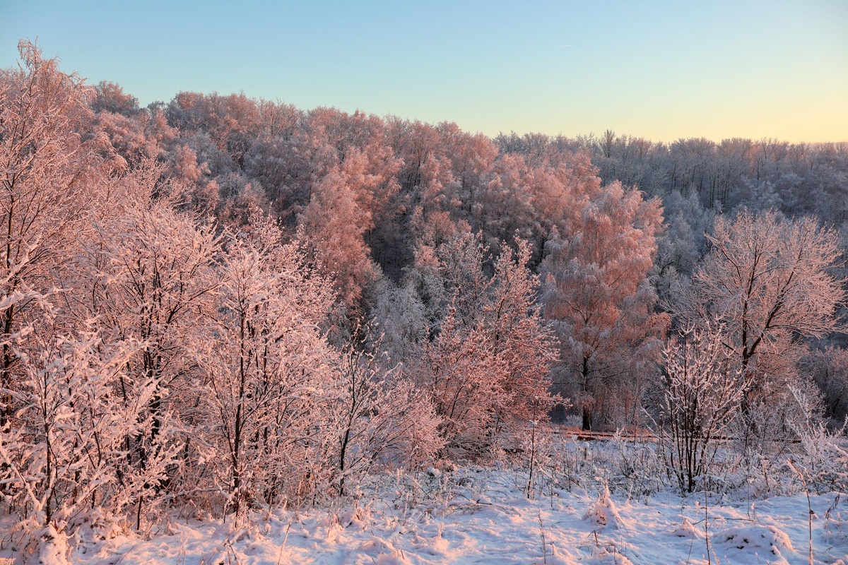 Якутию накрыли снегопады и 45-градусные морозы.  Фото: Фото: ФедералПресс / Вера Романескул