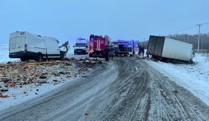 Фото Госавтоинспекции по Новосибирской области