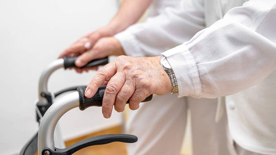    Фото: Global Look Press/IMAGO/DAVID HERRAEZ