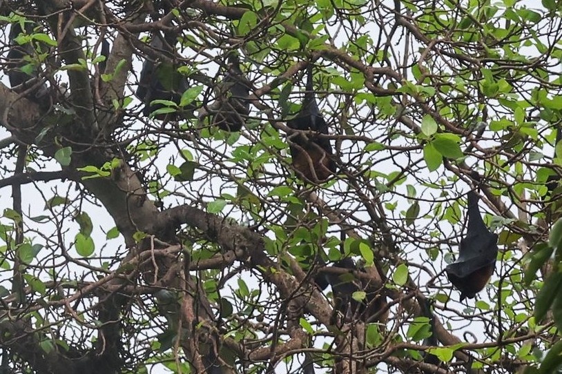    Алексей Белкин/NEWS.ru