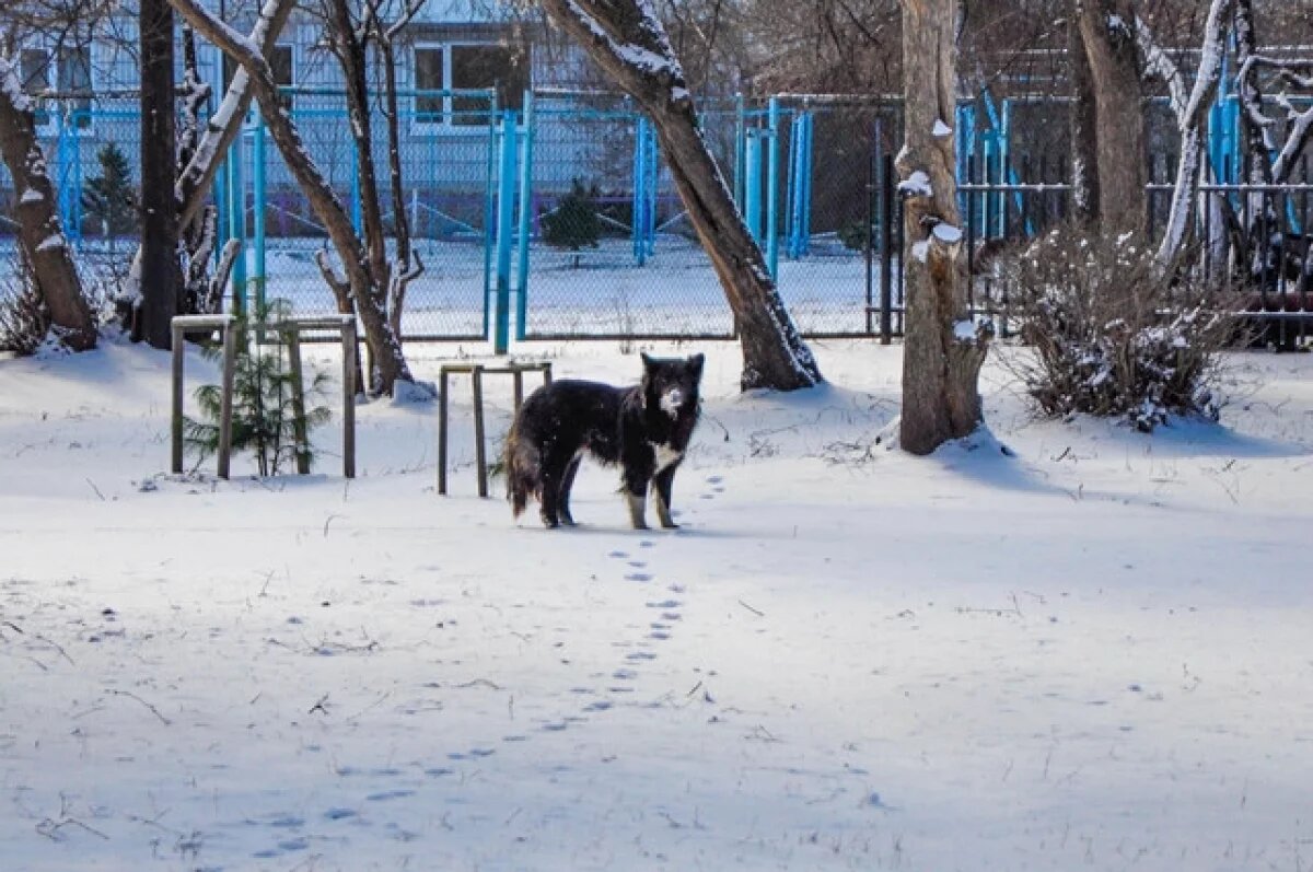    В Томске в пятницу ожидается снег и гололедица