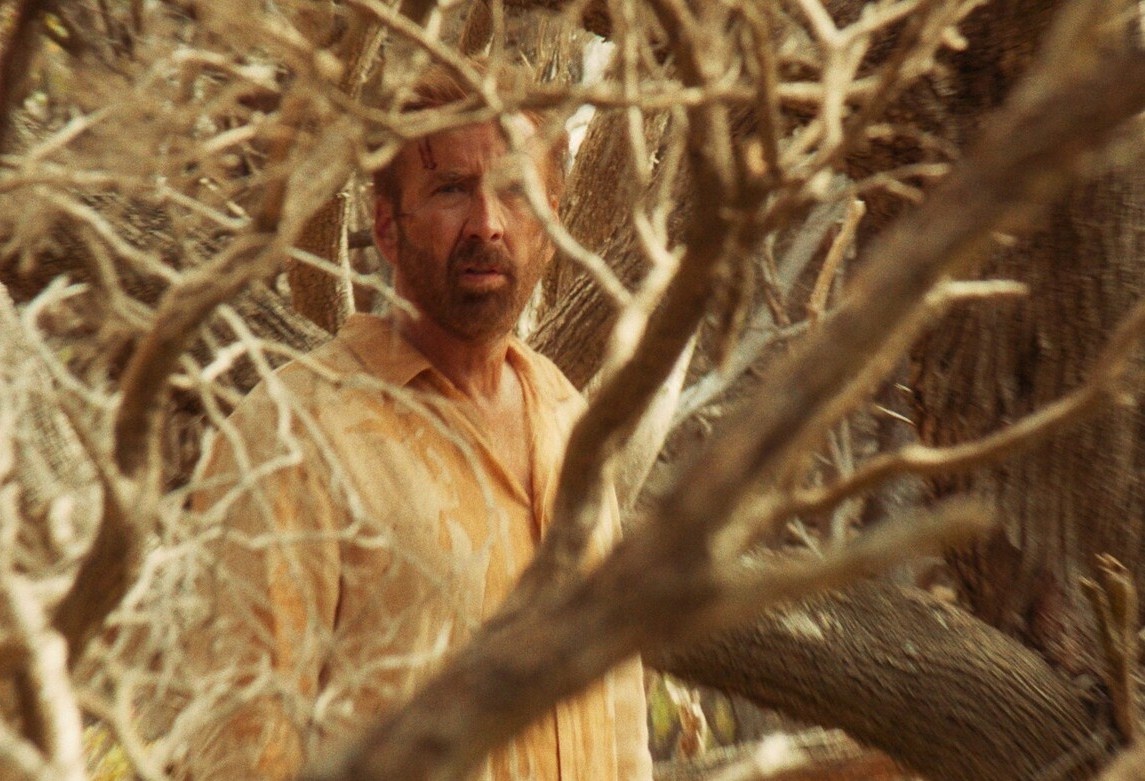 Кадр из фильма "Сёрфер".