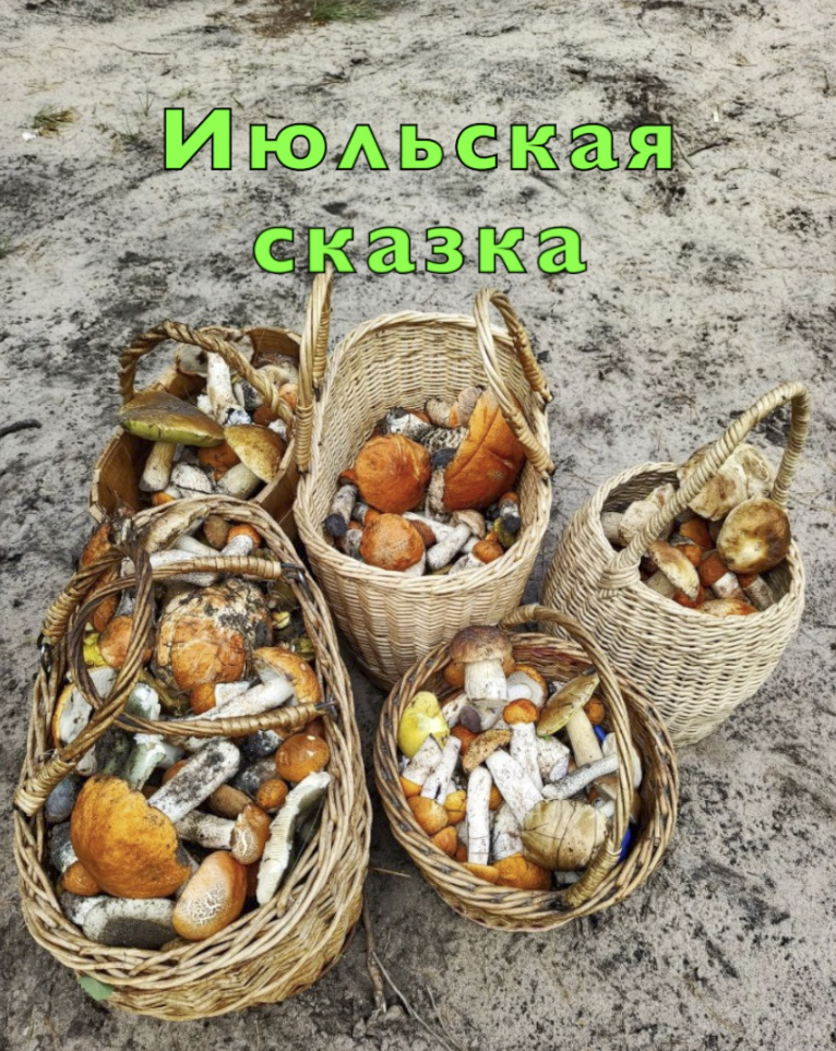 Фото Галины Конопкиной на конкурс "Корзина 2025"