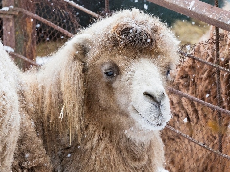     Фото: Роев ручей