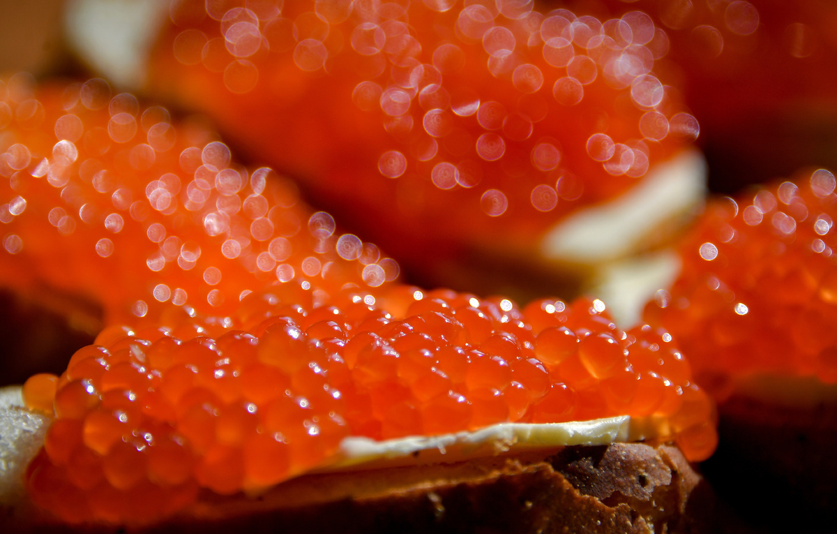 Юрий Смитюк/ТАСС