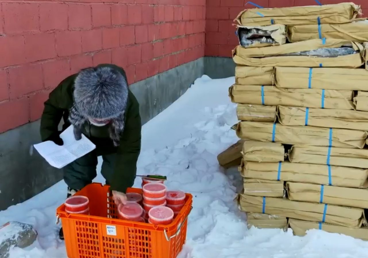 Фото: из материалов «ТВ-Колыма-Плюс»