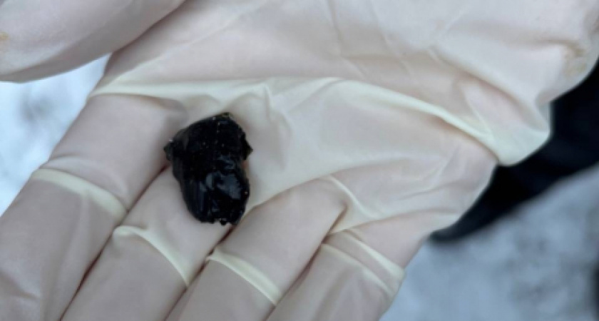    Фото МВД по Коми