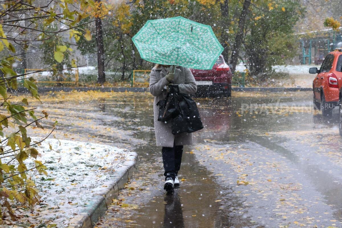    Термометры покажут +1°, но из-за влажности и ветра будет холоднее
