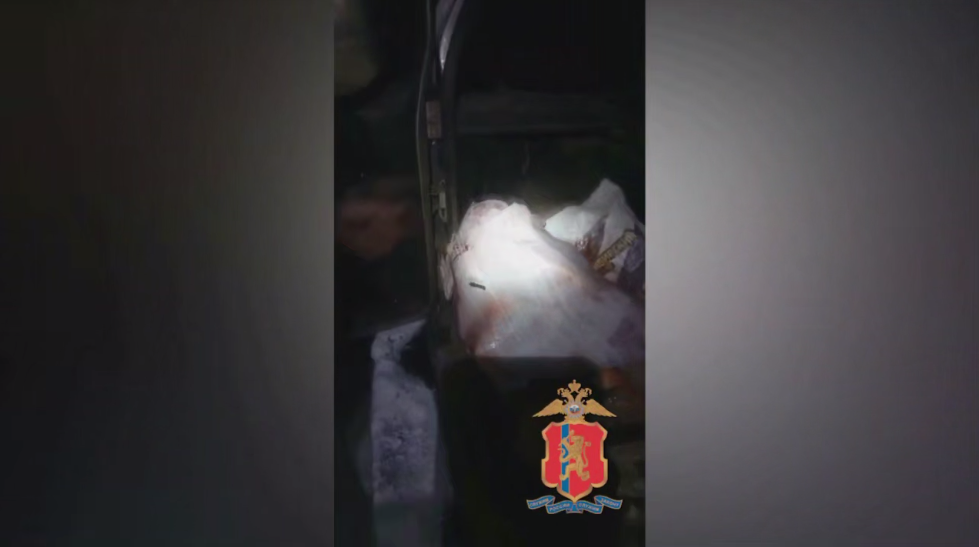     В Красноярском крае задержали браконьера за убийство двух косуль