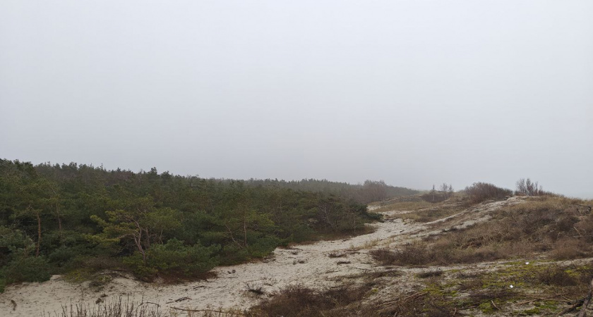    Первый городской канал Калининград